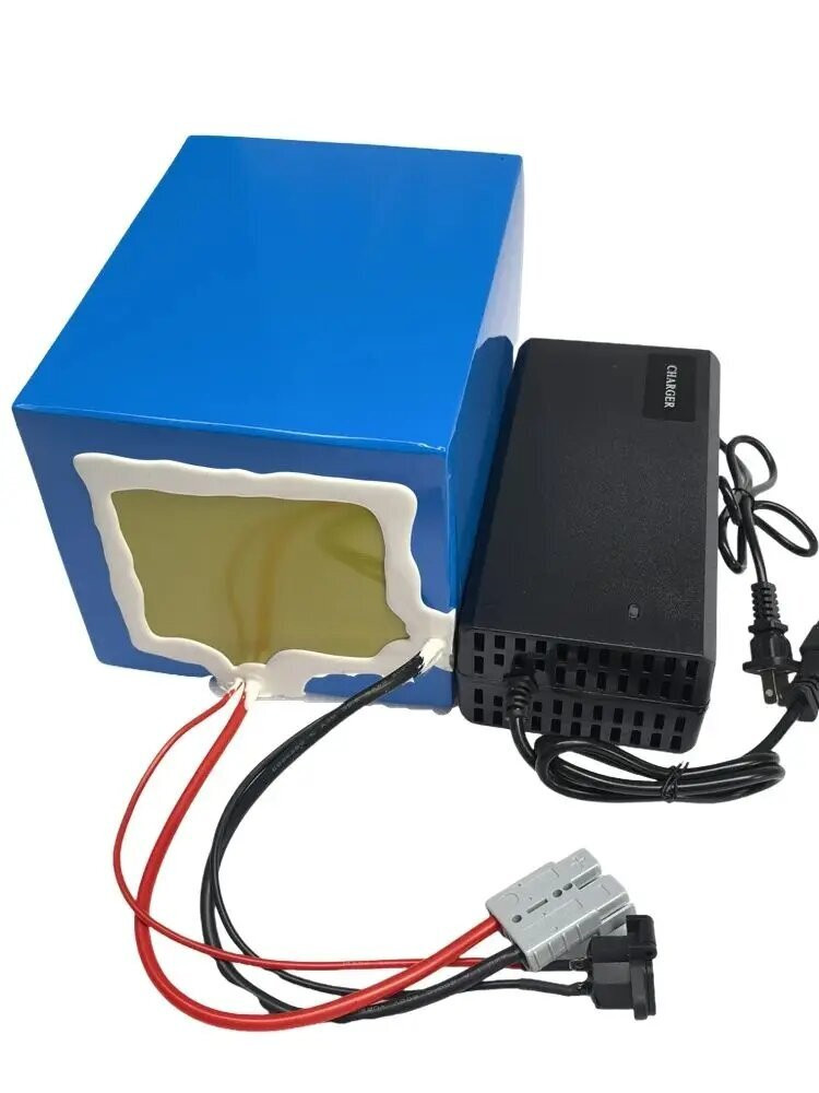 Bateria de Íon de Lítio de Alt - 72V 30Ah Lifepo4 Battery Pack avaliação e preço
